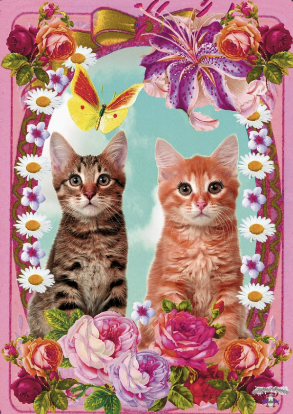 poster cats