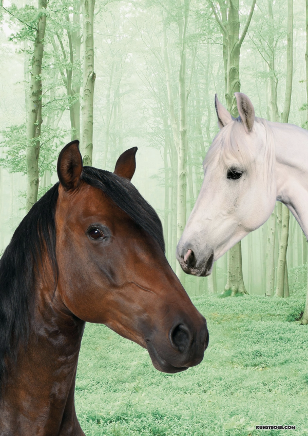 Poster Horses