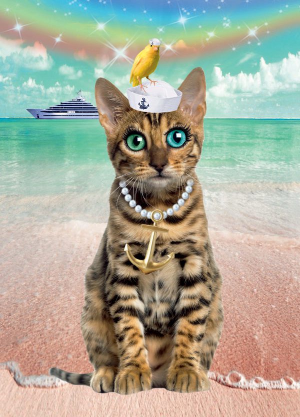 poster catsailor