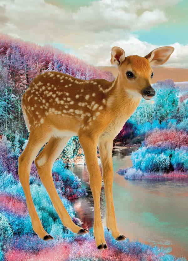 Poster New Bambi